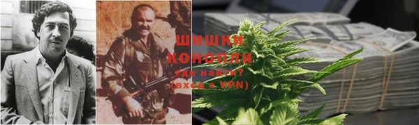 тгк Богородск