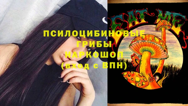 сатива Богородицк