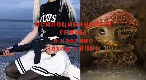 ПСИЛОЦИБИНОВЫЕ ГРИБЫ Бронницы