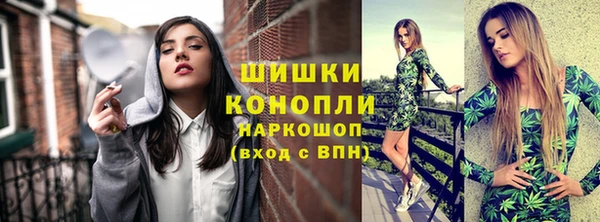 сатива Богородицк