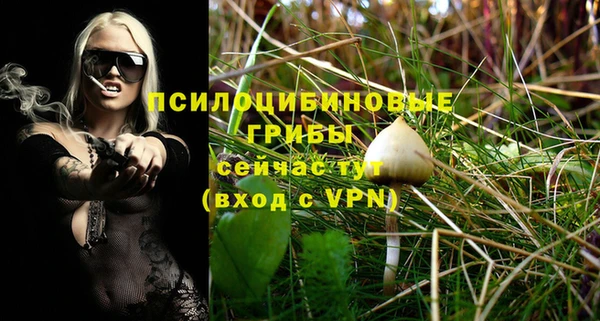сатива Богородицк