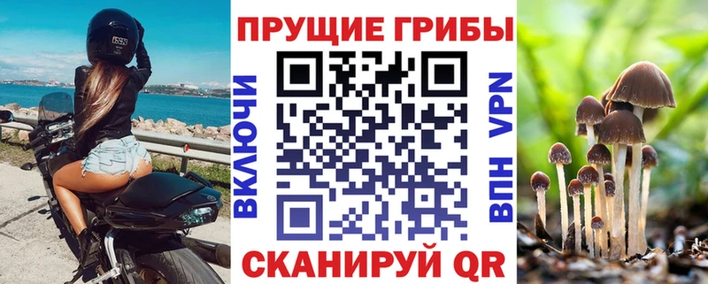Галлюциногенные грибы MAGIC MUSHROOMS  даркнет сайт  Подольск 