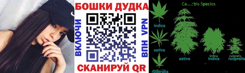 Конопля ГИДРОПОН  Подольск 